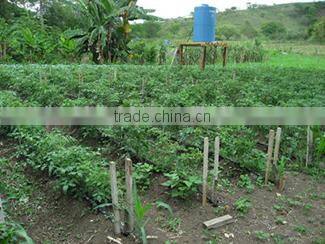 Agriculture Farm Gravity Drip Irrigation System