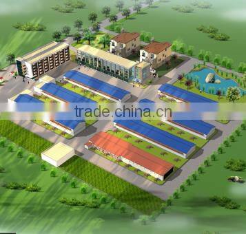 TA NO.1 Factory 3 tiers 120 birds h type broiler chicken cage