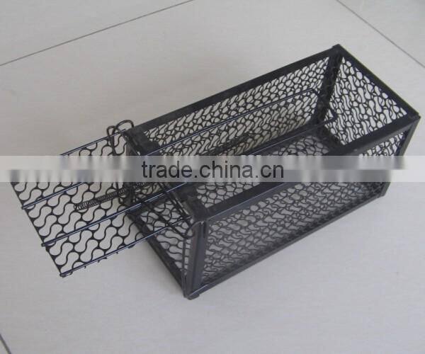 Live animal and squirrel cage traps