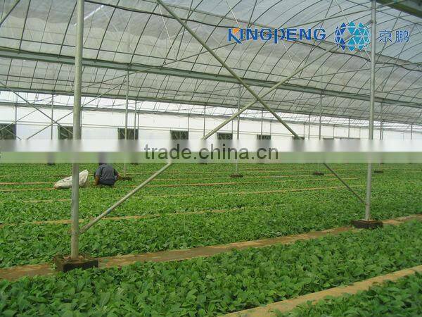 Multi Span Plastic Film Greenhouse