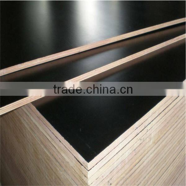 Poplar Core, WBP Glue, malaysia commercial plywood Chinese waterproof plywood
