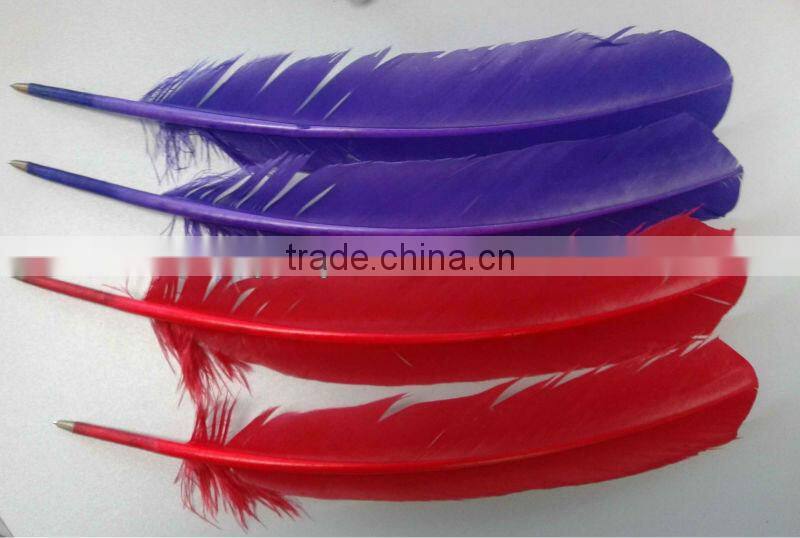 feather pens/quill pen/history pen
