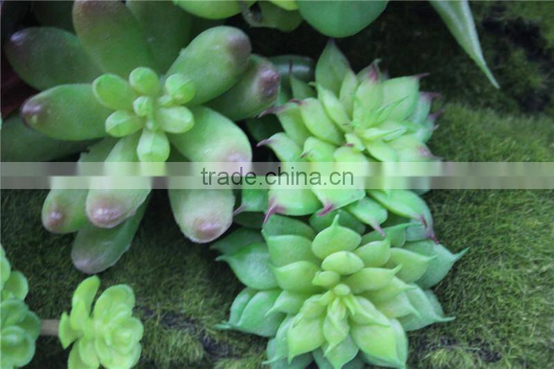 for home garden tiles deco 30*30*7cm paint color indoor artificial succlent boutique plant wall laminate combinations Ejq10 1202