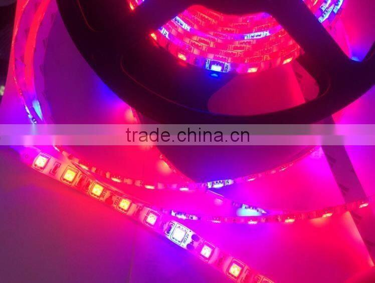 Plant growth LED lights