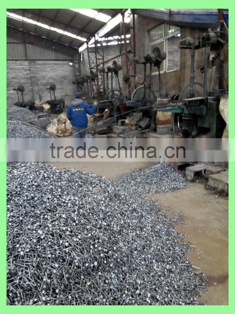 big head clout nails hot selling CHINA