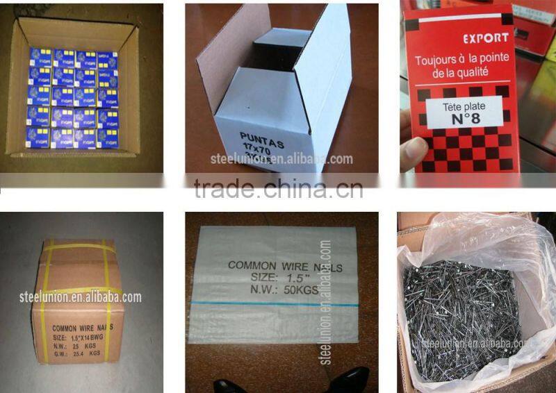 iron nail/iron nail supplies