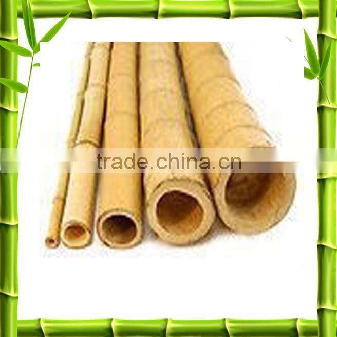 Wholesale bamboo poles /bamboo canes
