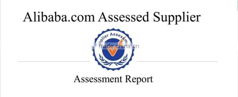 Elegant Party Clothing Young Girls High Fashion Lingerie Sexy corset