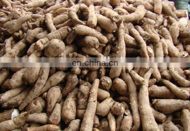 Cassava starch processing machine price /sweet potato starch making machine line