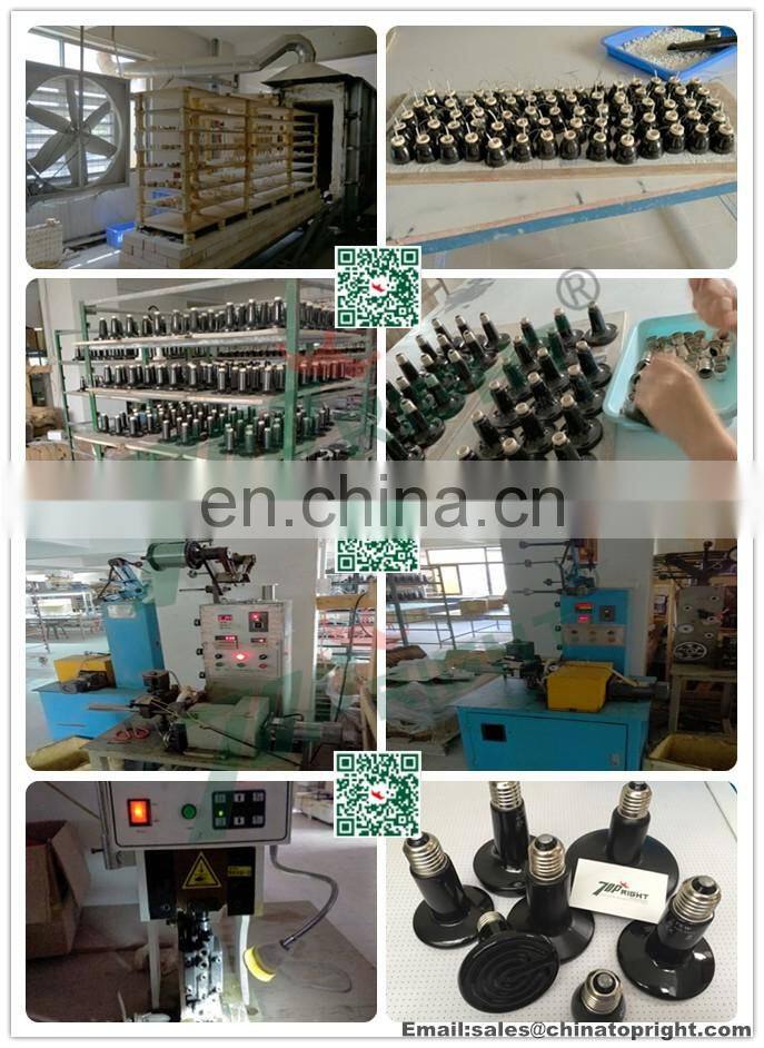 ceramic heat resistance heater lamp light bulb for reptile pet brooder 75w