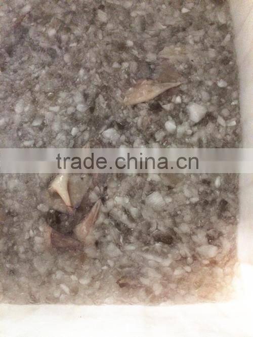 Landing frozen Illex Squid body with size 400 - 600g