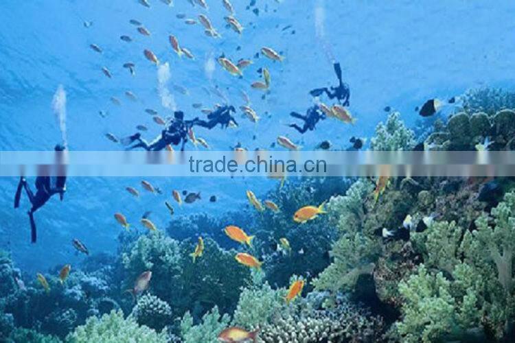 C42 T6 High Power dive flashlight