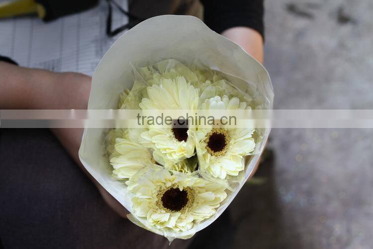 Various hot-sale flower single stem gerbera