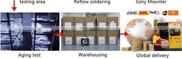 Festival Color Led Digital Strip Light SMD5050 With CE