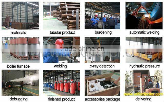 LSS Oil(Gas) Steam Generator