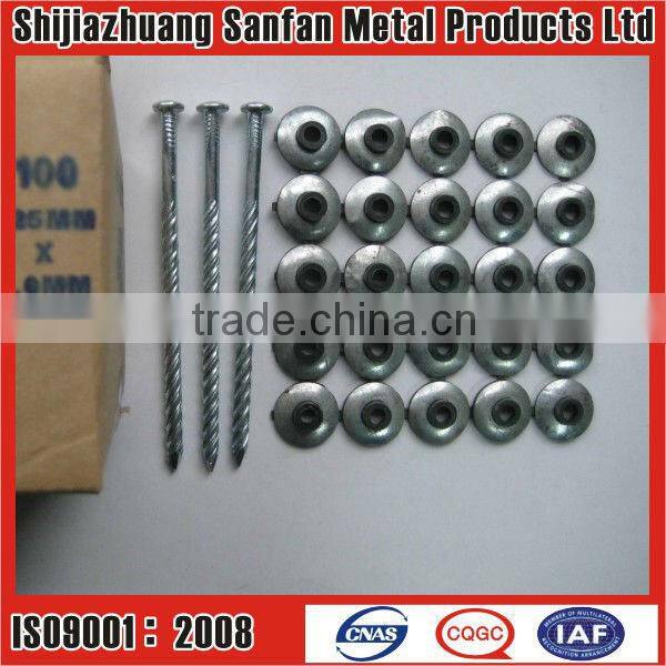 Manufacturer Galvanized Umbrella head roofing nails