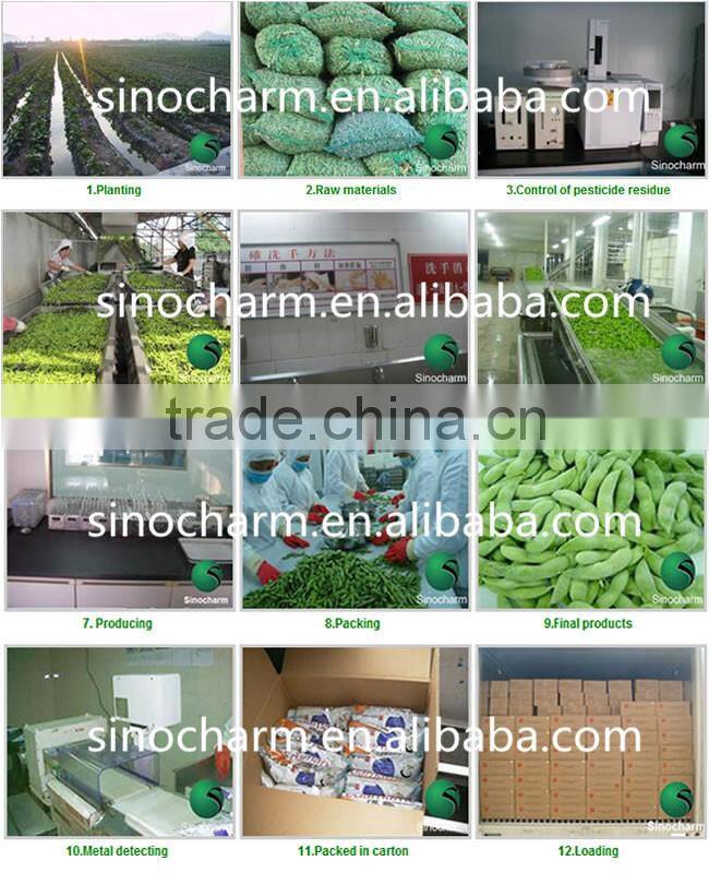 IQF Green Soybean Kernel