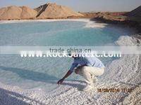 Sodium Chloride 98-99% NACL inspected by (sgs) in bulk shipments