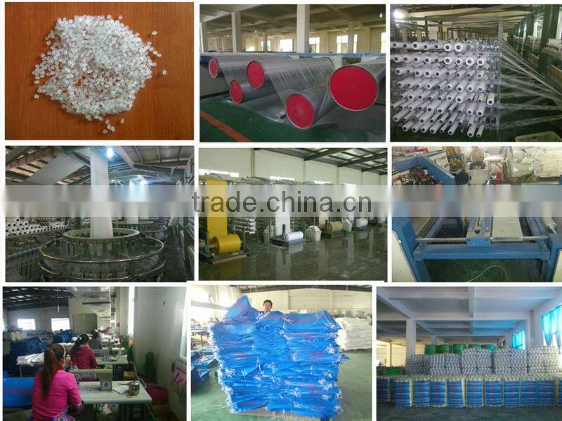 color pp woven bag for rice and feed