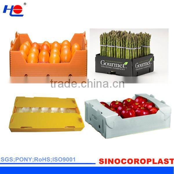 Customized Corrugated Plastic Fruit Crate