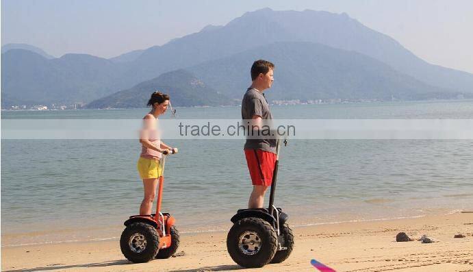 China Best citycoco 19inch 2000w fastwheel electric scooter in stock
