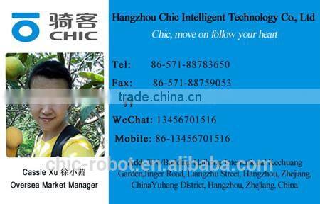 CHIC LS Advertising eco scooter low price eco e motorcycle scooters