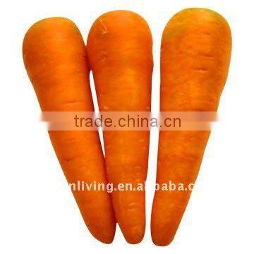 2014 chinese good price fresh carrot