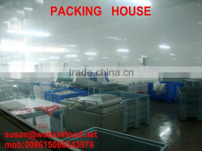 SWEET AND SOUR TASTE SUSHI GINGER FROM CHINA