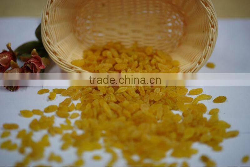 Golden sun raisins, hand selected quality