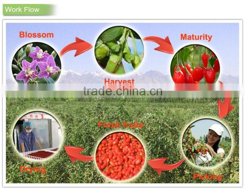 Wholesale red Chinese bulk goji berries with low price