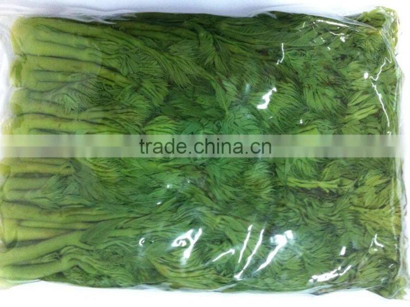aralia elate seem in drum boiled aralia elate seem in bag boil vegetables