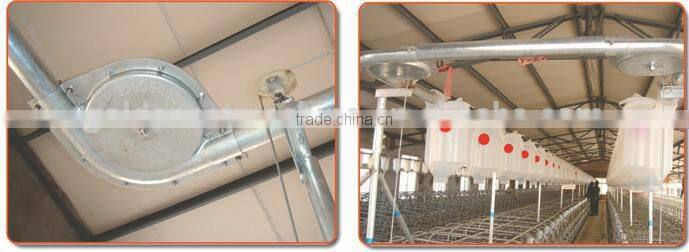 pig feeding system