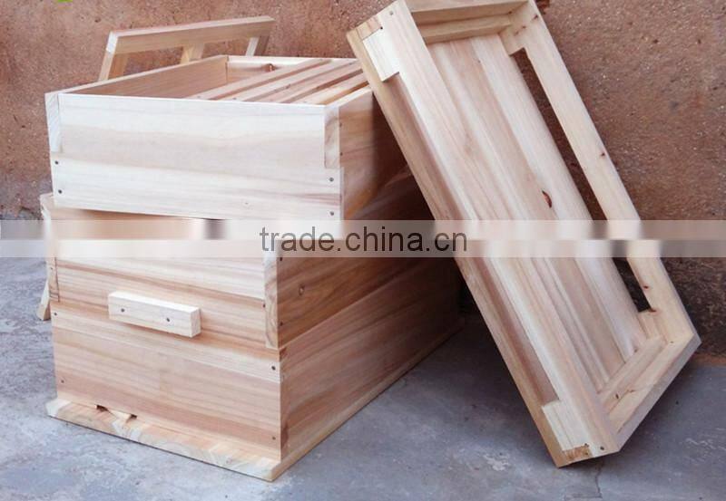 Chinese Bee HIve Pine Wood 2 Layer Frames Hive For Australia Standard High Quality Solid Wood Bee House Hive