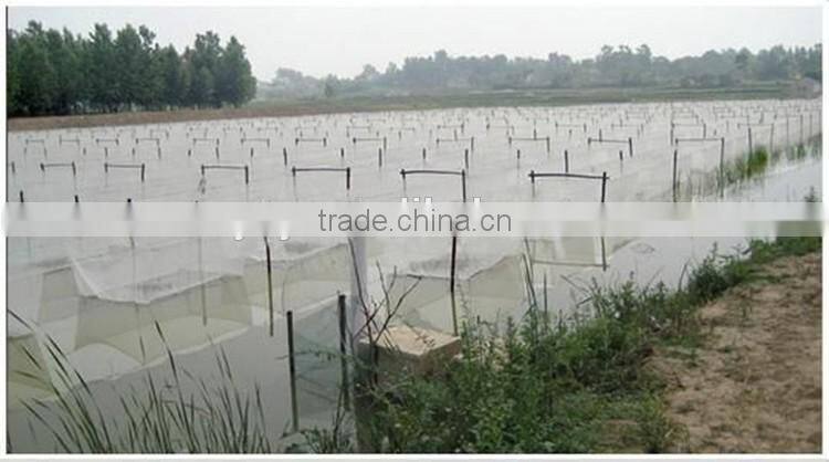 Greenhouse plastic anti insect nets