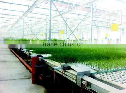 10-year Warranty UV protection greenhouses structure with hydroponic system