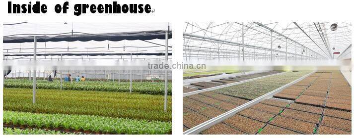 Plastic Saw tooth green houses for tropical place