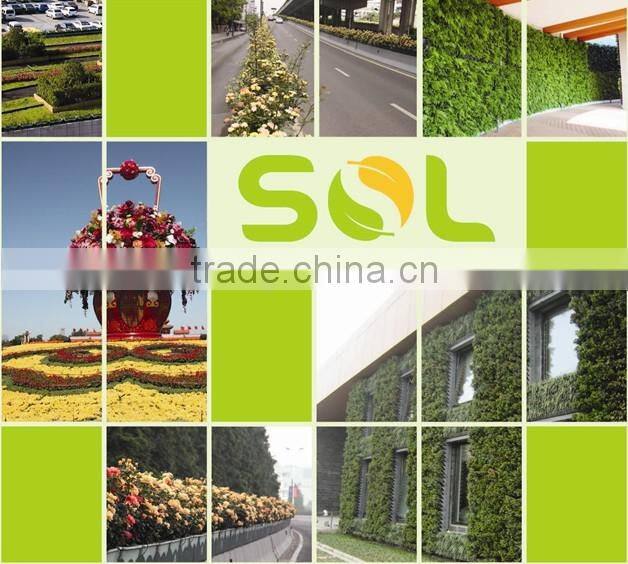 Plastic Vertical Wall Planter, Hanging Wall Grow Bags With Pocket SL-XQ5057 GREEN WALL POTS