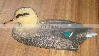 hunting birds, mandarin duck