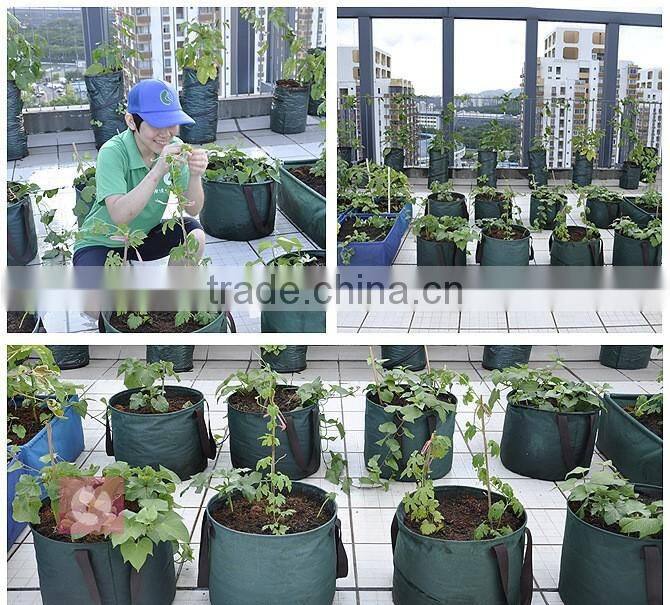 Fabric Smart potato grow bag