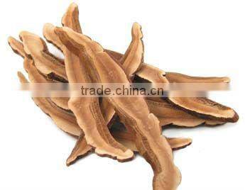 Reishi extract,herbal supplement