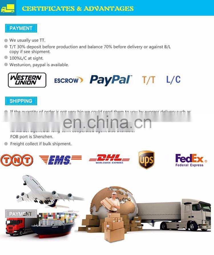 Largest inflatable water slide for adult and kids