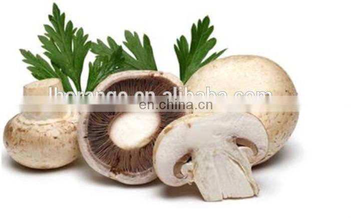 Automatic Mushroom cutting machine/mushroom slicer machine /mushroom slicing machine with the factory price