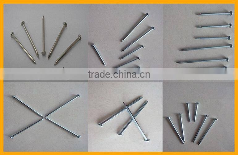 Galvanized Steel Concrete Nail Manufacture