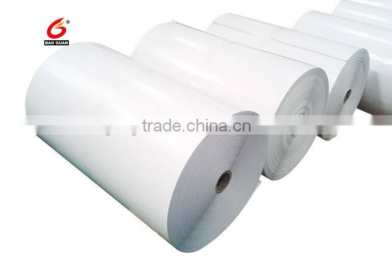 Jumbo Rolls Two Side PE Coated Paper Liner