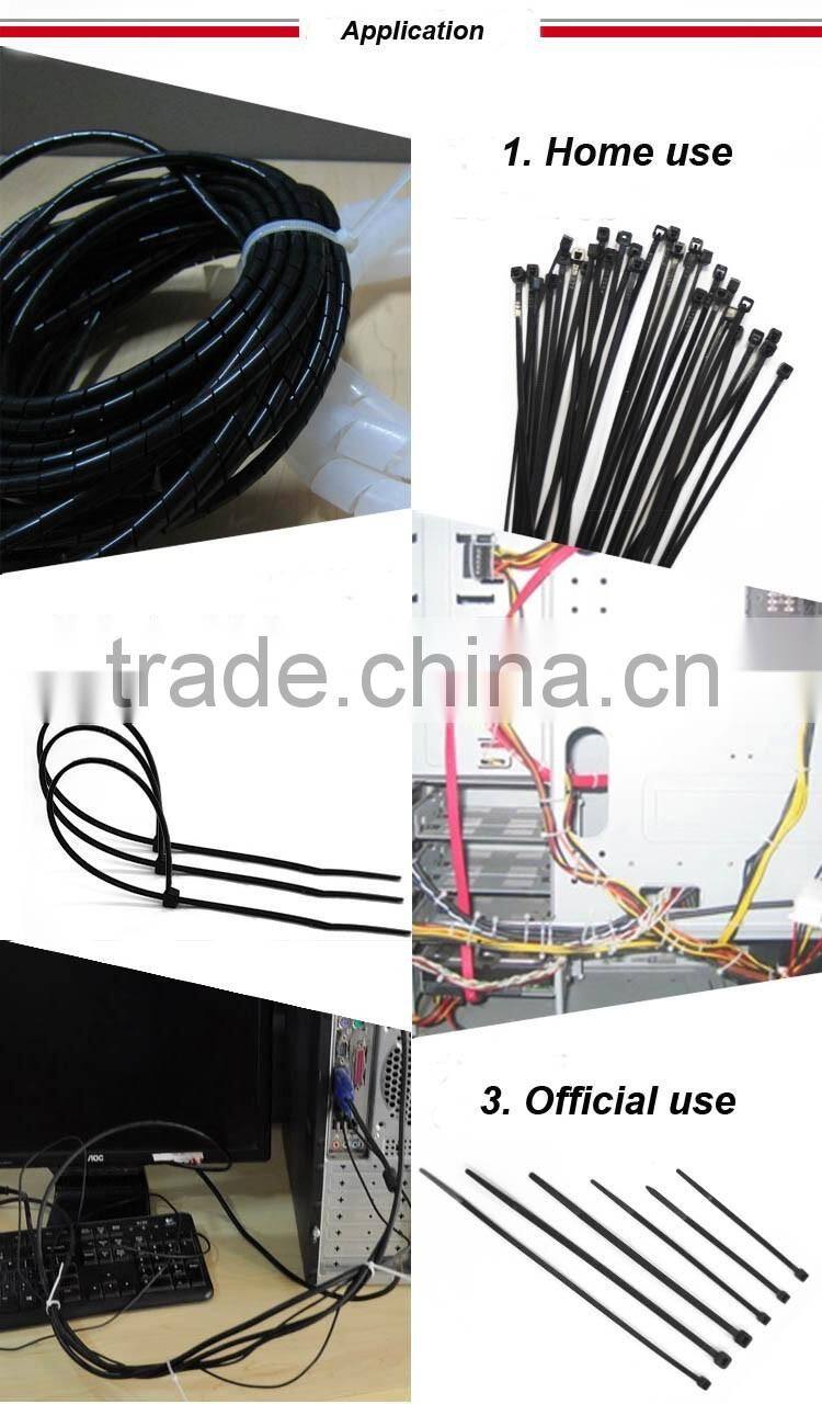 4'' 6'' 8'' 10'' Length Nylon66 Plastic Cable Tie Size