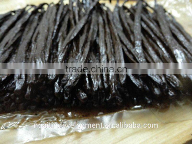 High Class Best Spice Madagascar Vanilla Bean