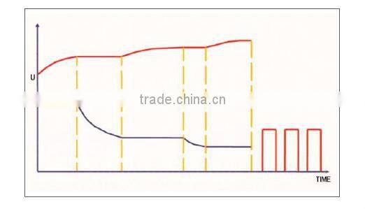 EverExceed CHF small size less weight high quality 12v car battery charger