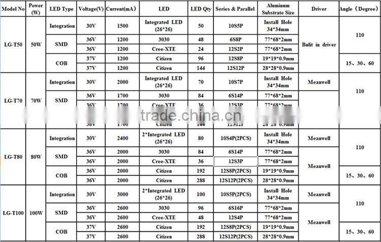 2016 New Patent Citizen COB LED Flood Light 100w