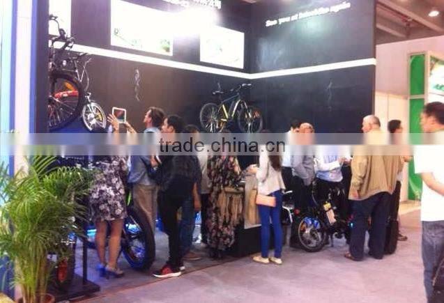 Mountain e-bike, sports style, 2014 new model