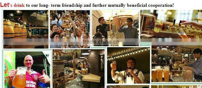 500L stainless steel beer fermenters tanks